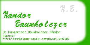nandor baumholczer business card